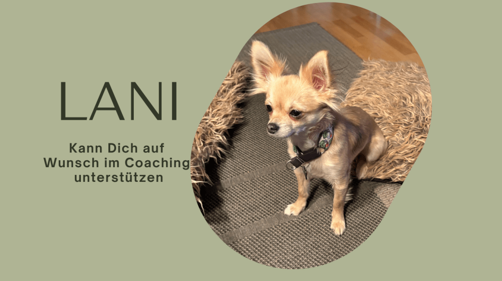 Ein kleiner Hund sitzt auf einem Teppich mit einem weichen Untergrund, umgeben von einem beruhigenden, beige, grünen Hintergrund mit Text, der erwähnt, dass Lani im Coaching unterstützen kann.
